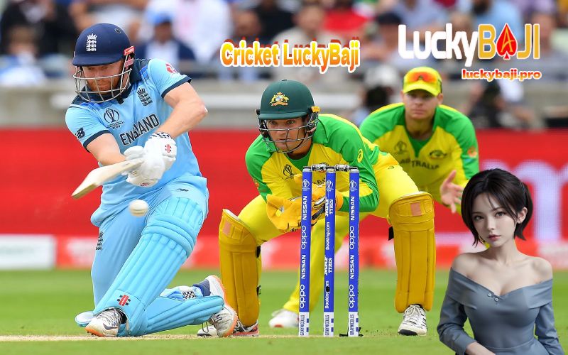 Cricket LuckyBaji sportbooks