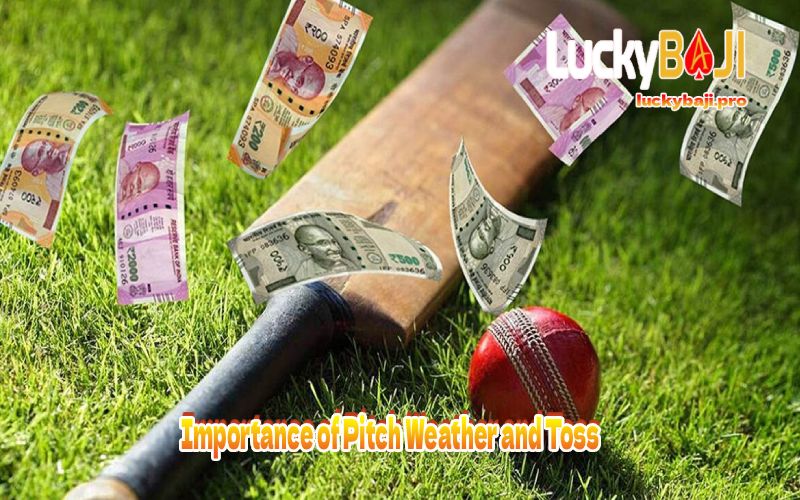 Importance of Pitch Weather and Toss