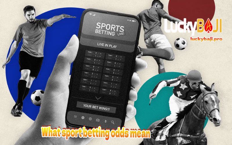 What sport betting odds mean
