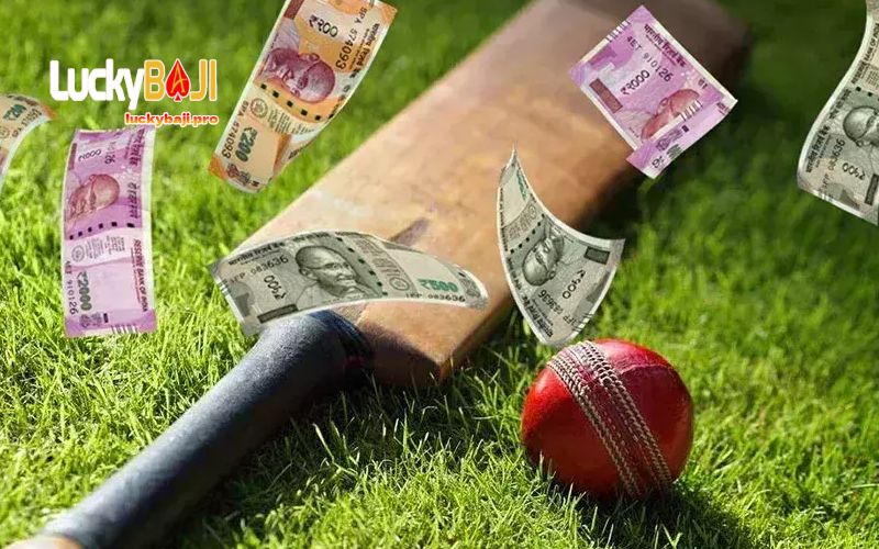 How Cricket Odds Work