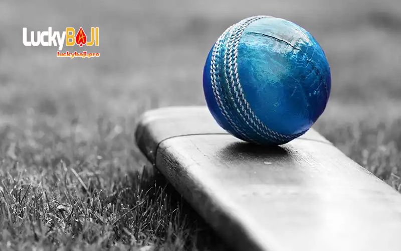 Meaning of Betting on Cricket
